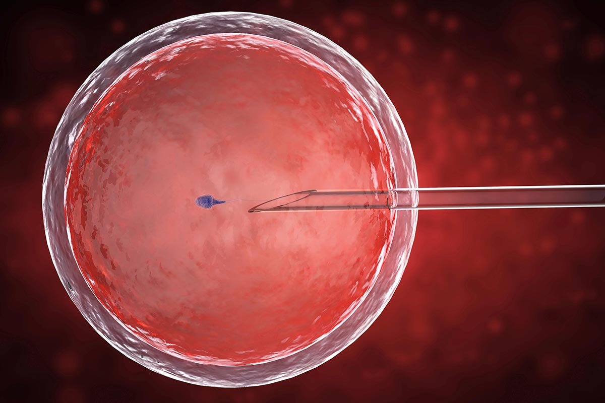 5 Things to Know Before Your IVF Journey 02